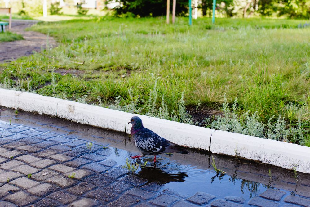 Photograph by дамир чекалин