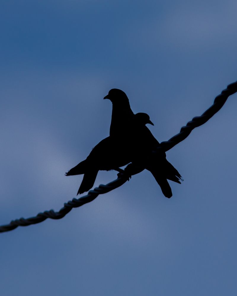 Photograph by Тоцкий Михаил