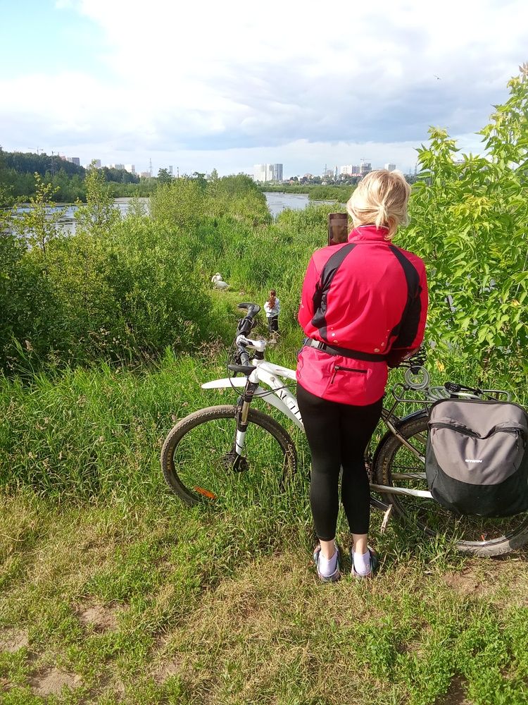 Photo #13735275