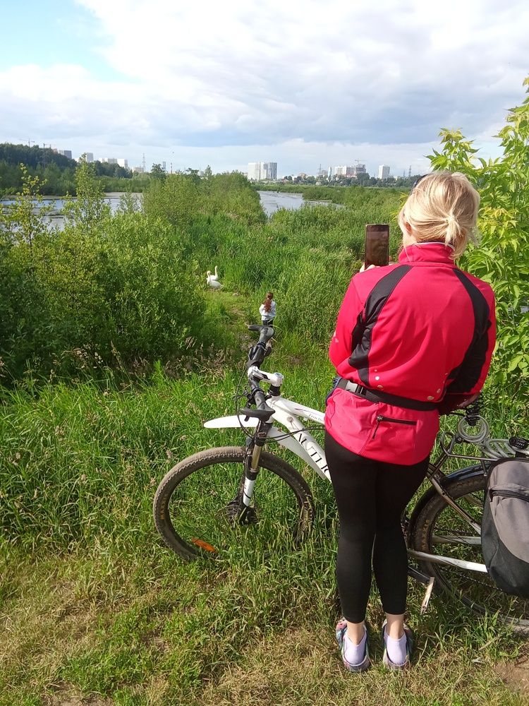 Photo #13735276