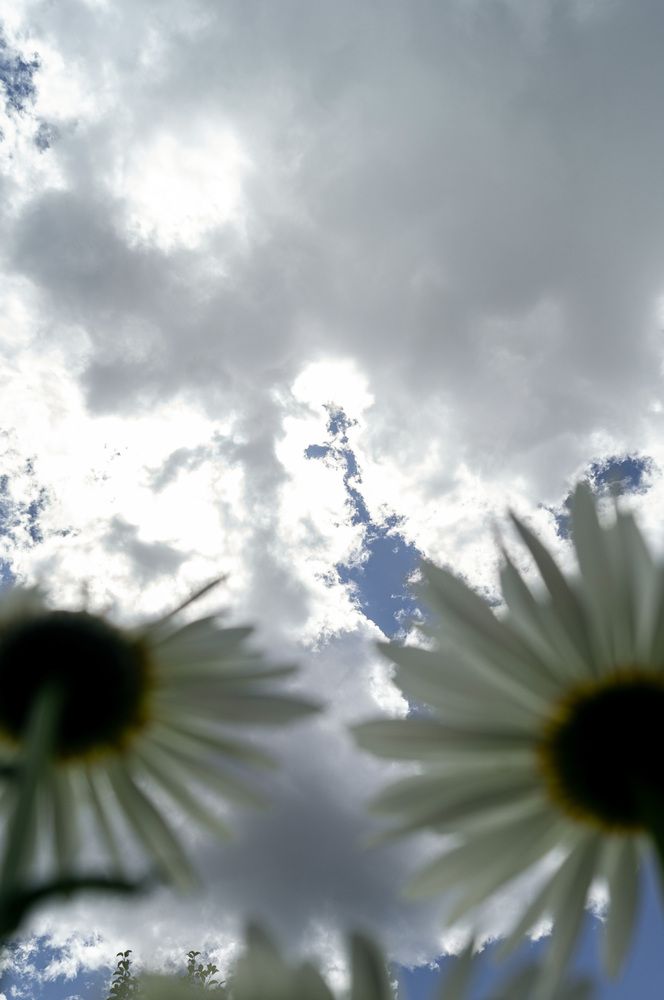 Photograph by Ирина Филиппова
