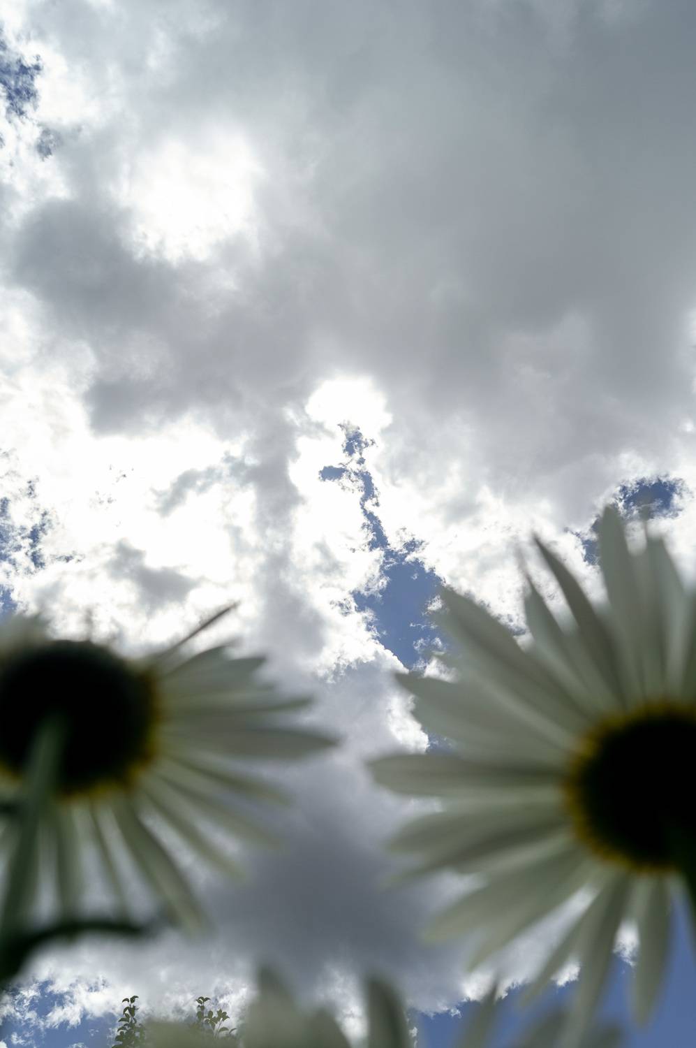 Photo #13735351