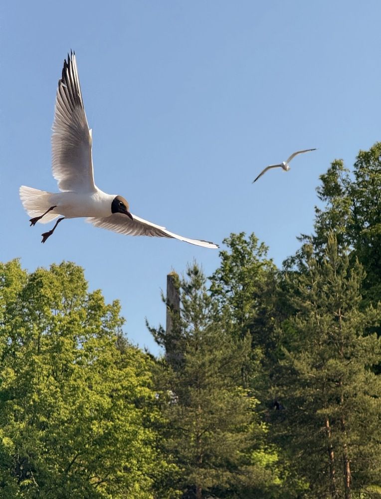 Photograph by Наталия Любчикова