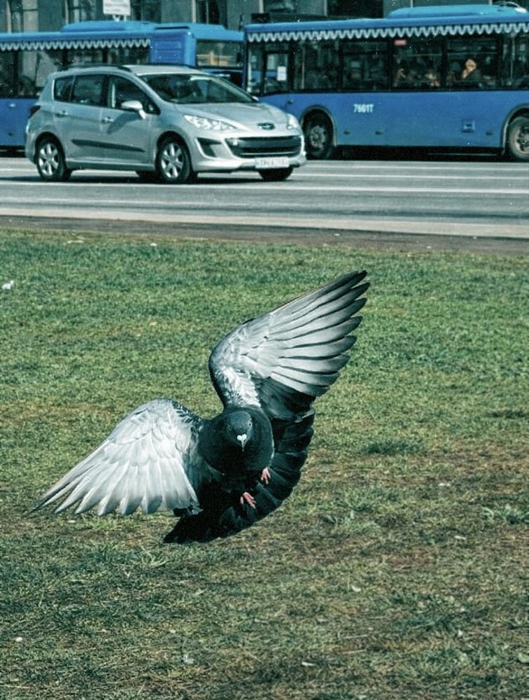Photograph by Наталия Любчикова