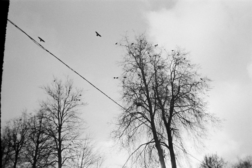 Photograph by ВИКТОРИЯ СЕЛЕТЫЦКАЯ
