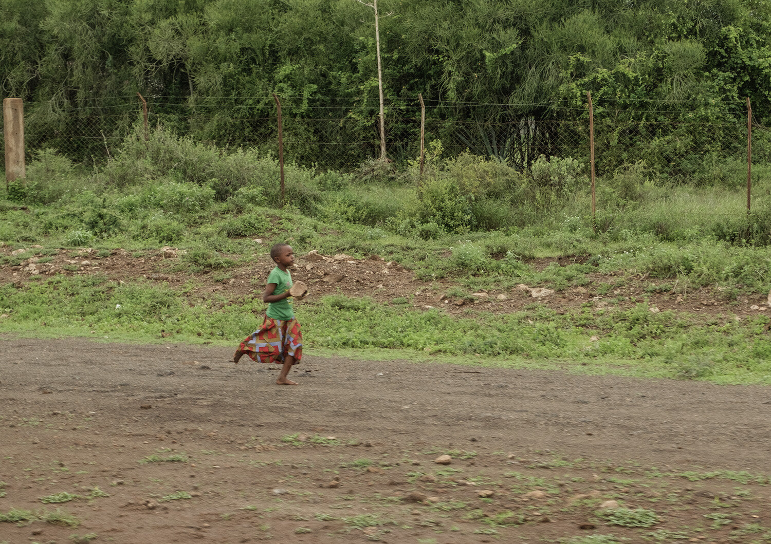 Photo #13735561