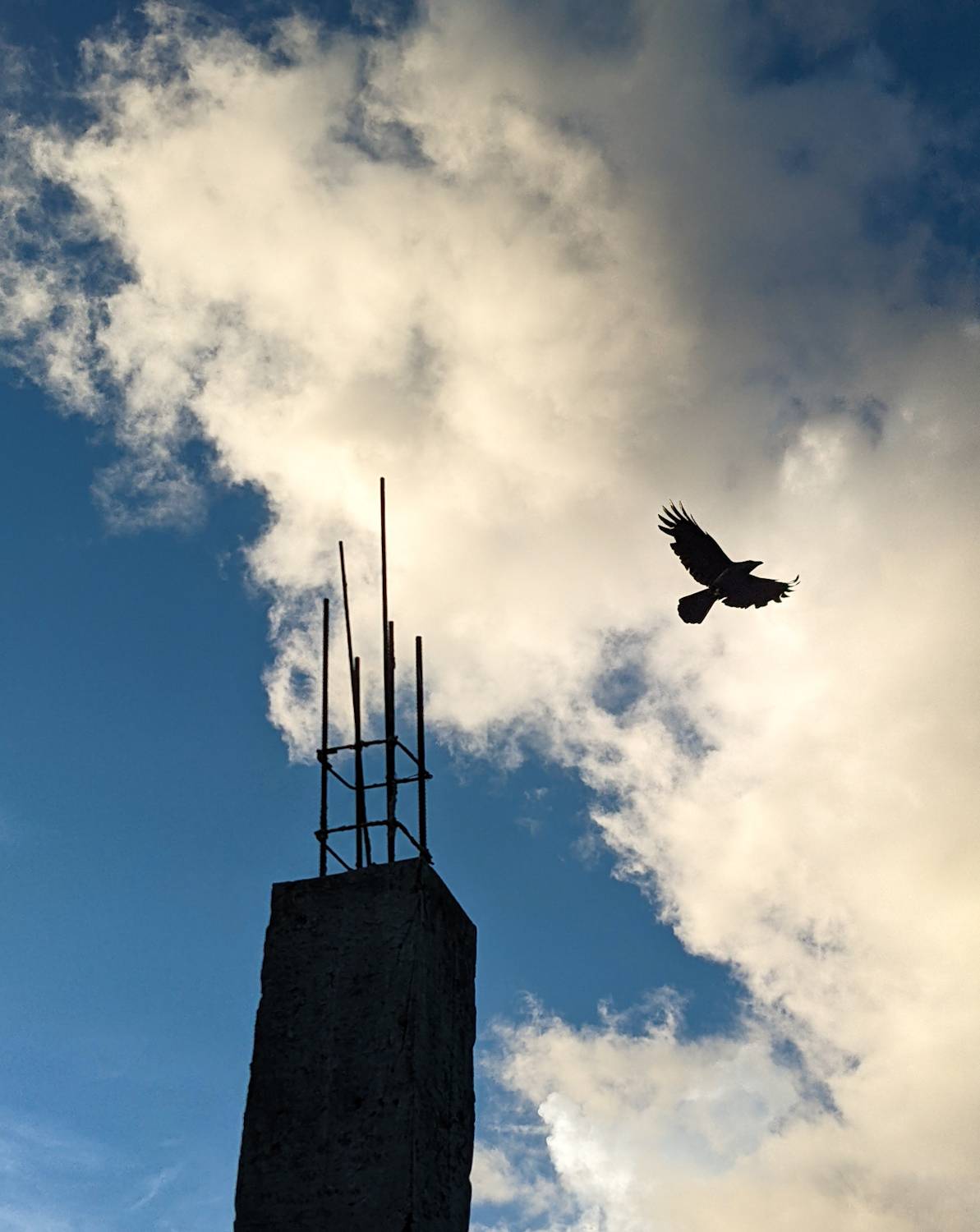 Flying