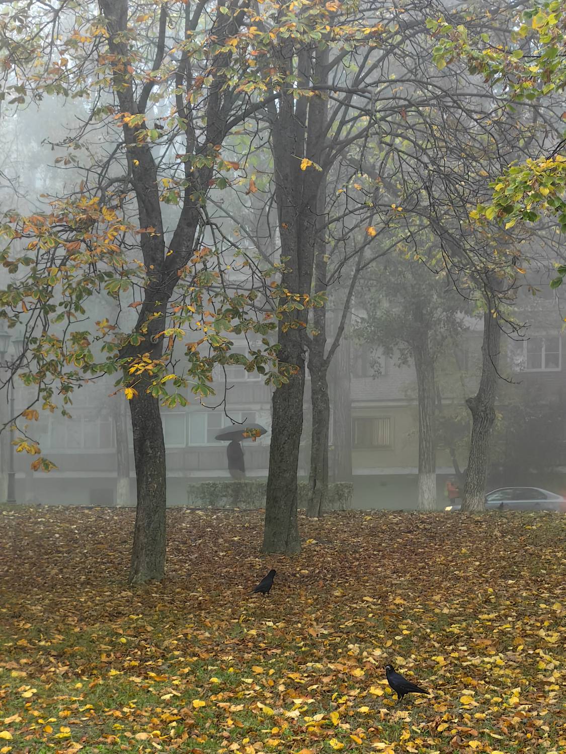 Photo #13735599