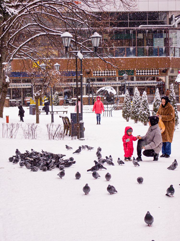 Photo #13735604