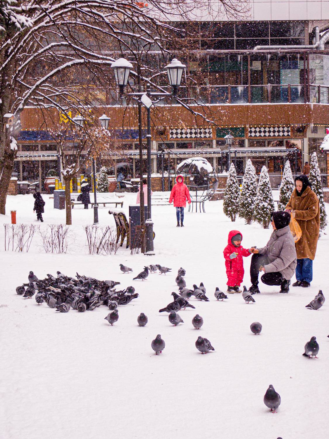 Photo #13735604