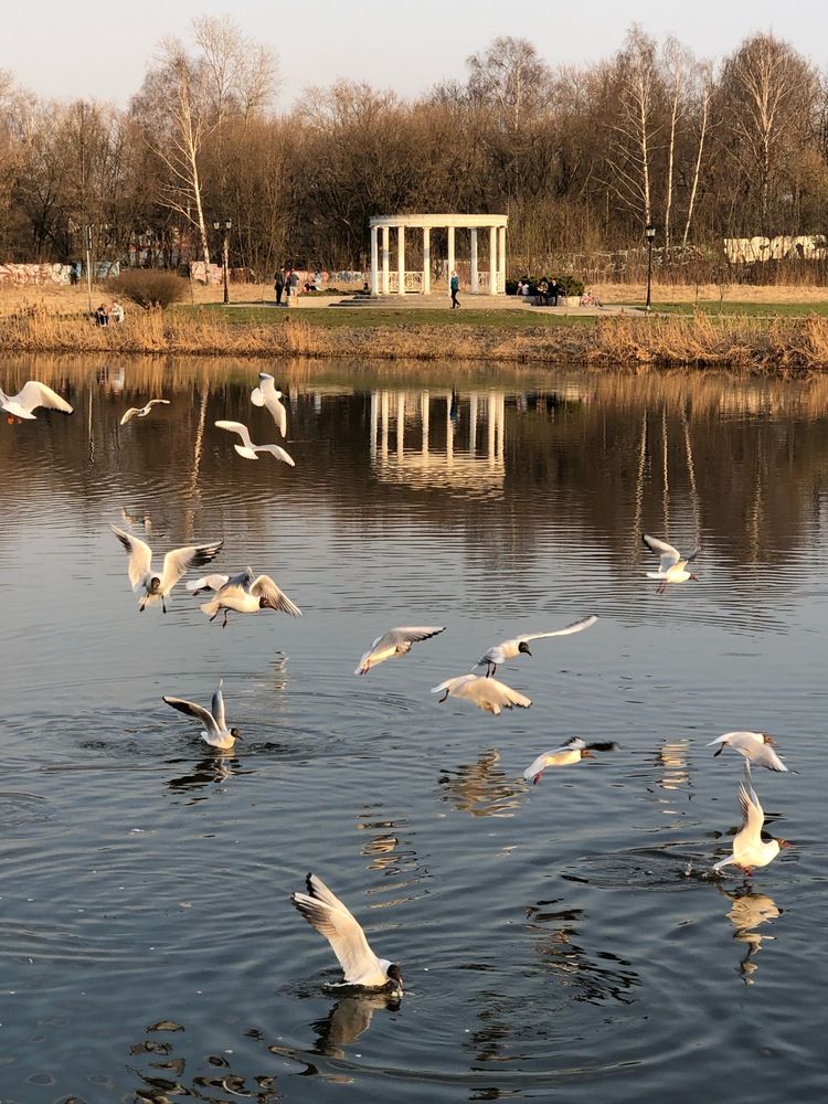 Photograph by Наталья Виноградова