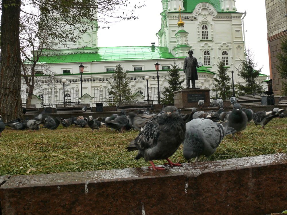Photograph by Анатолий Борисов