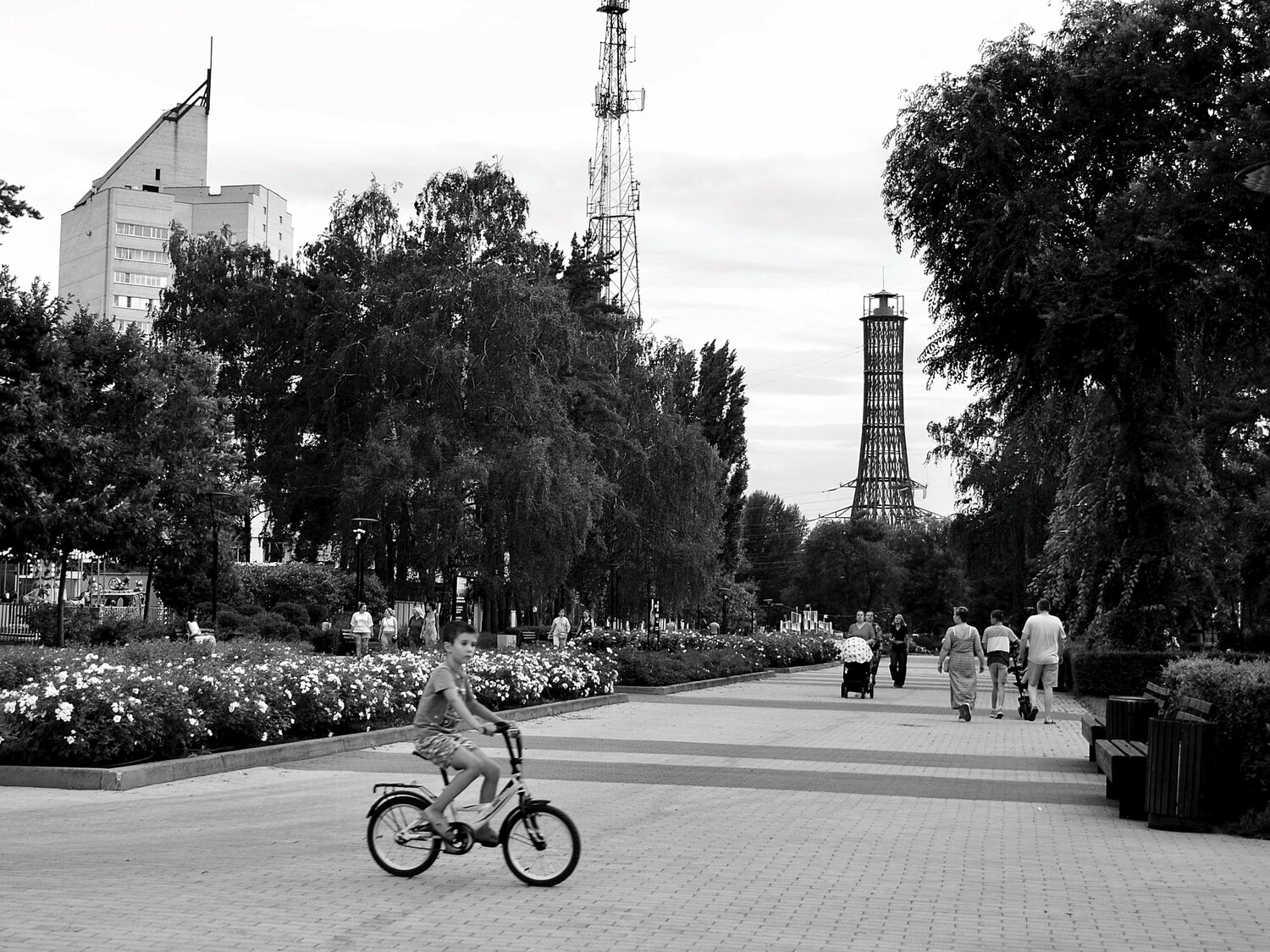 Photo #13735622