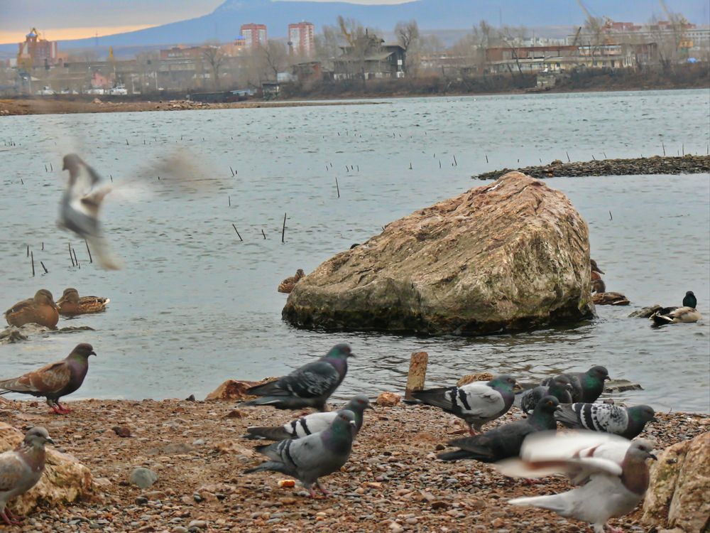 Photograph by Анатолий Борисов