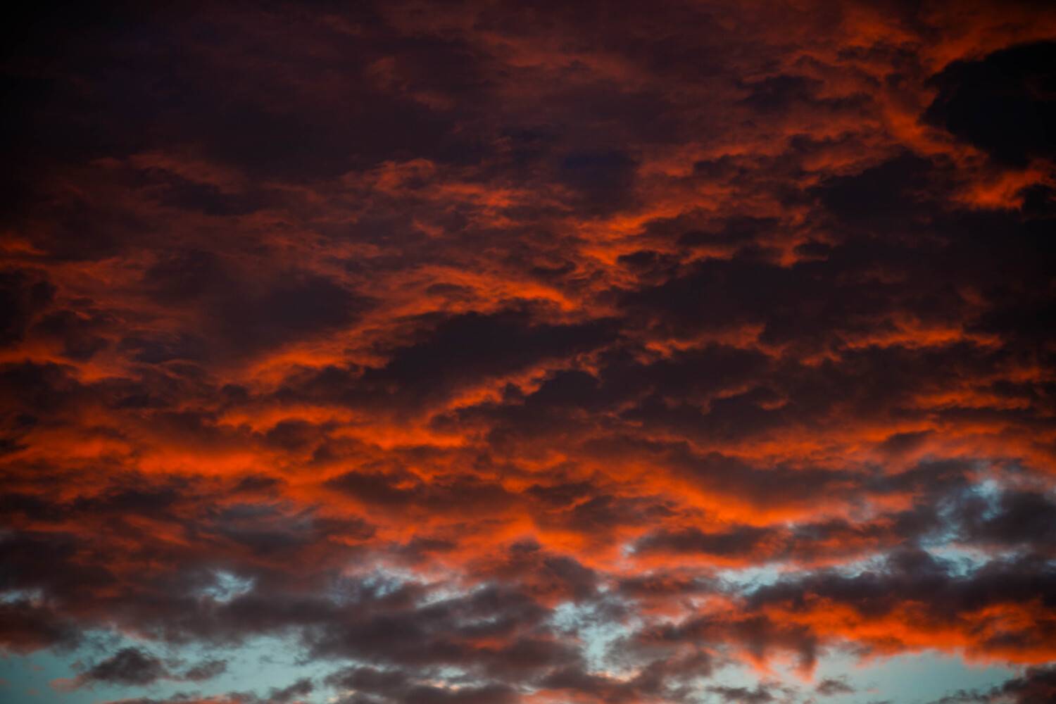 Photo #13735680