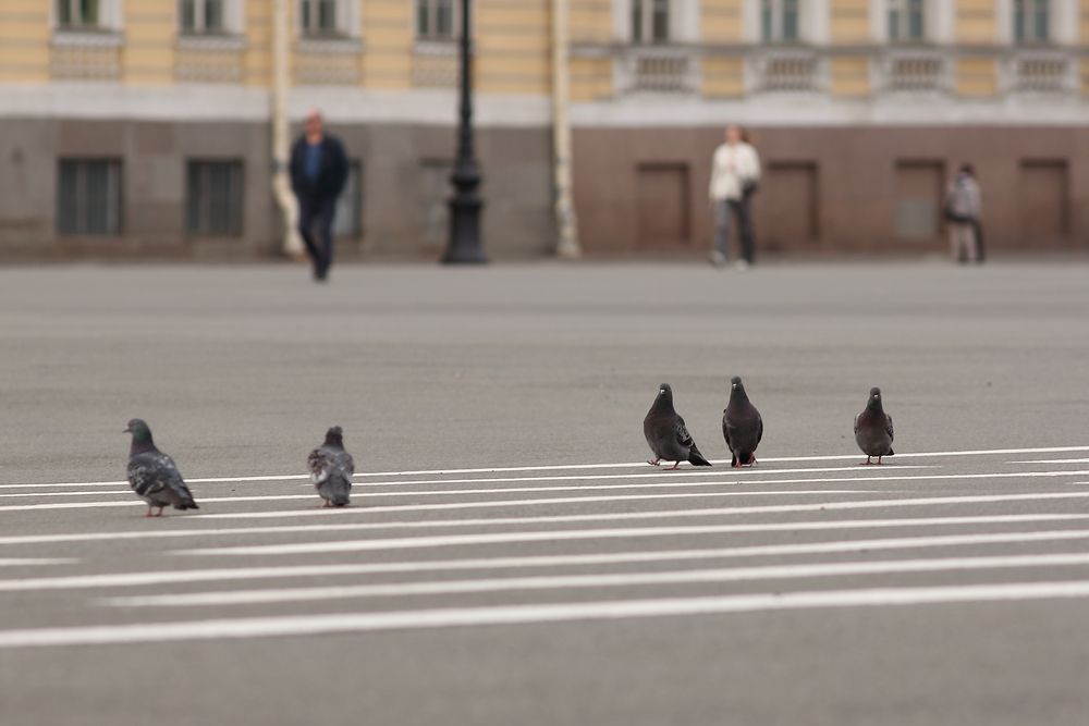 Photograph by Анна Кокина