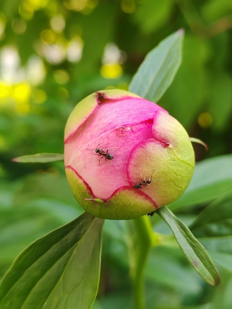 Photograph by Альбина Майкова