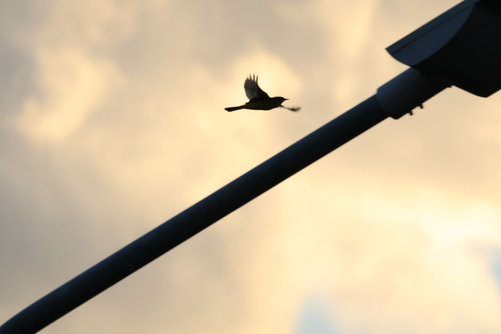 Photograph by Алексей Шаповалов