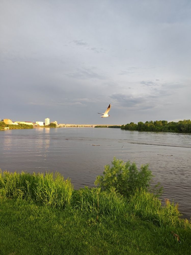 Photograph by Максим Жирнов