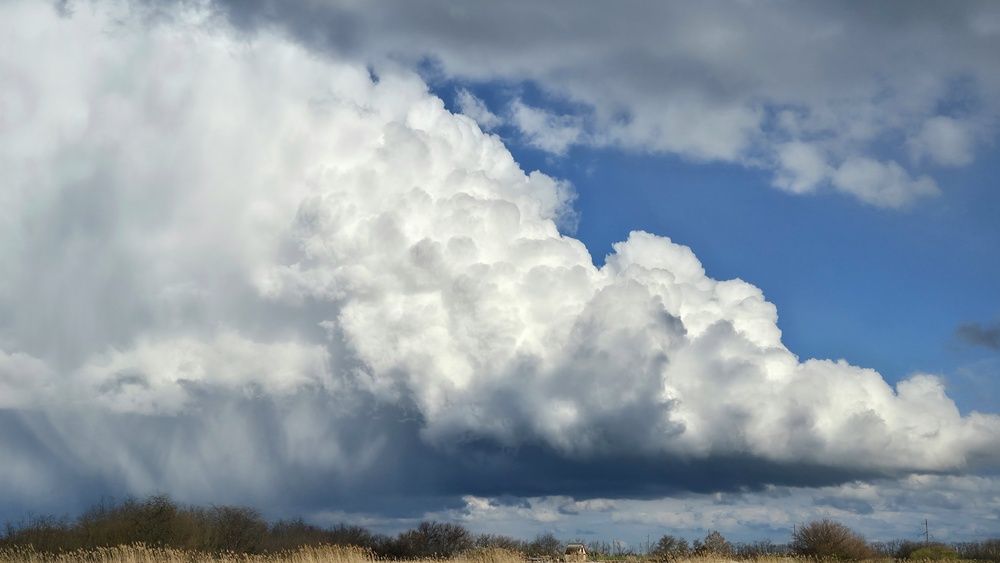 Photo #13735967