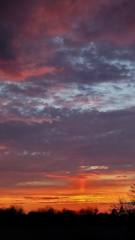 Photo #13735968