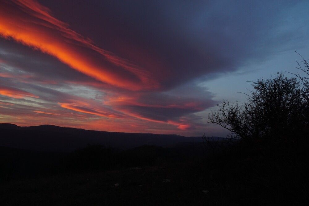 Photograph by света хлевненко