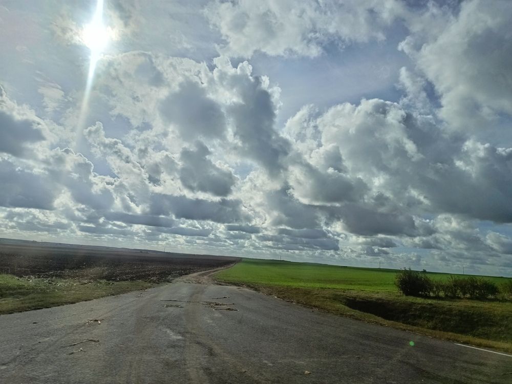 Photo #13736030