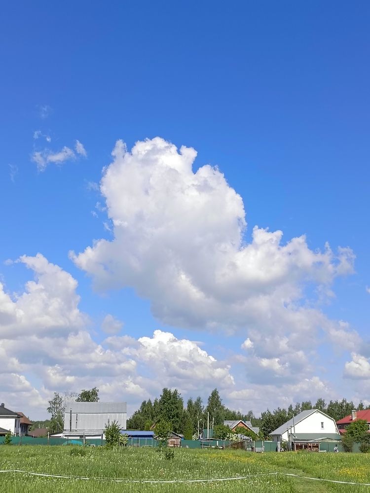 Photo #13736032