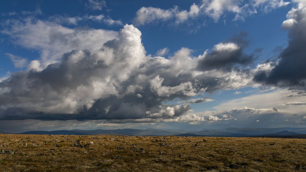Photograph by Александр Ермаков
