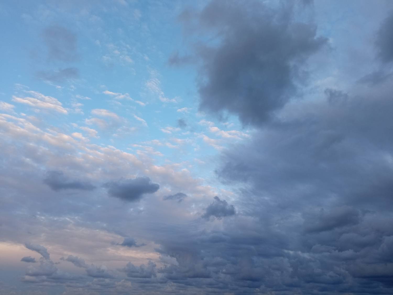 Photo #13736103