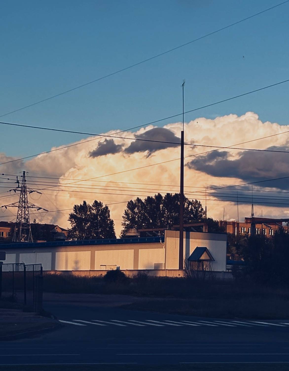 Photo #13736126