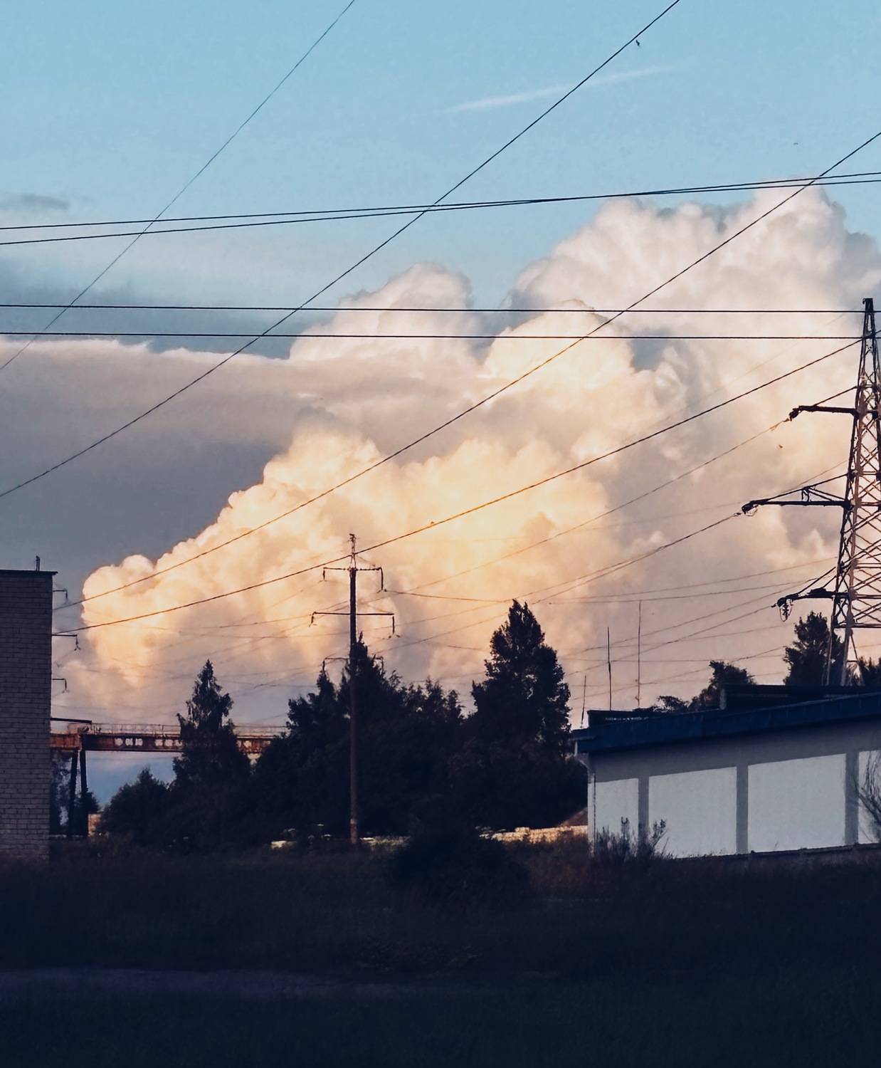 Photo #13736127