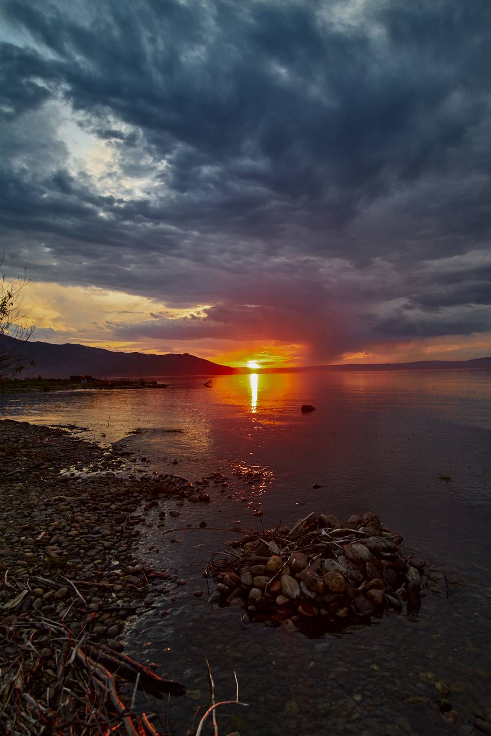Photo #13736133