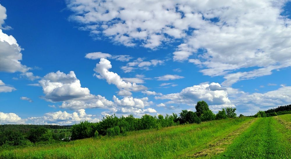 Фотография автора Николай Худяков