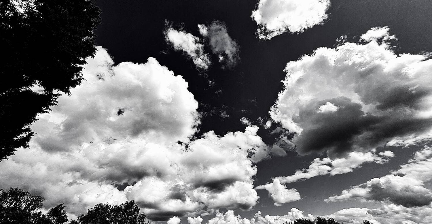 Photo #13736144