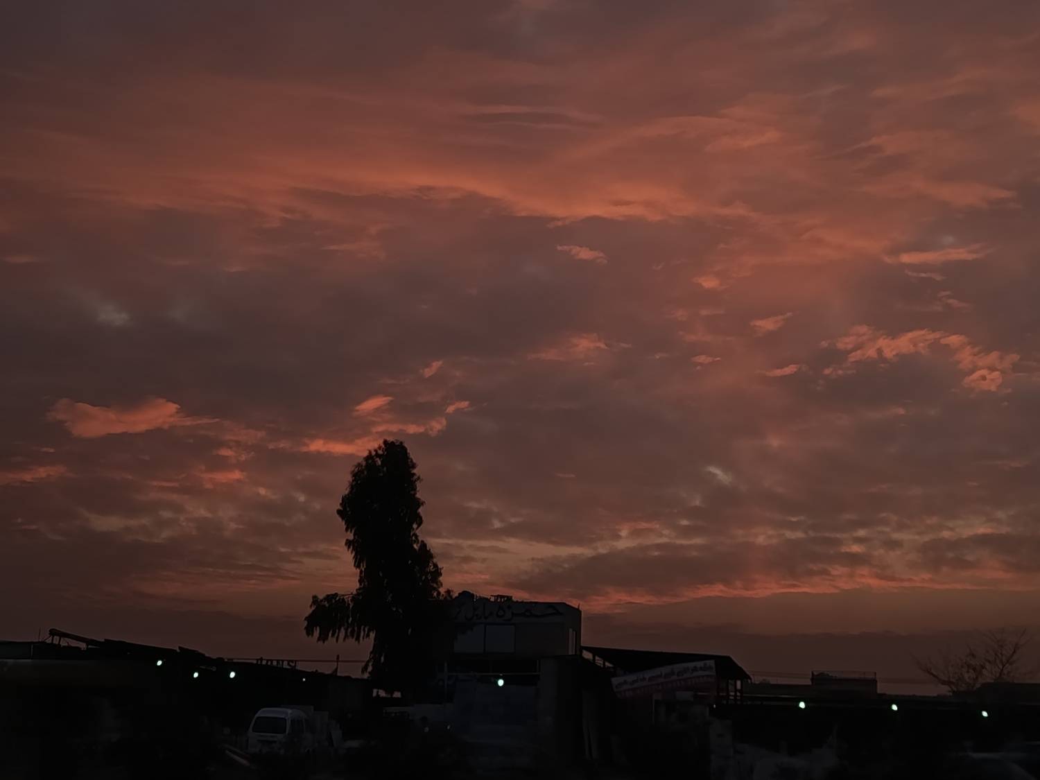Photo #13736149
