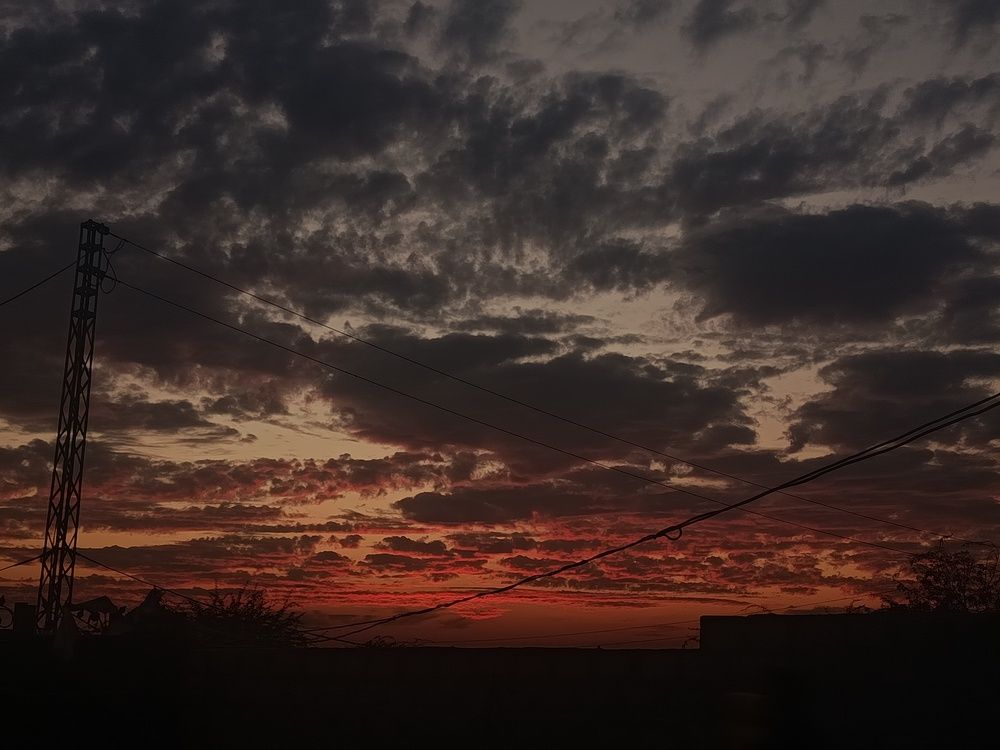 Photo #13736150