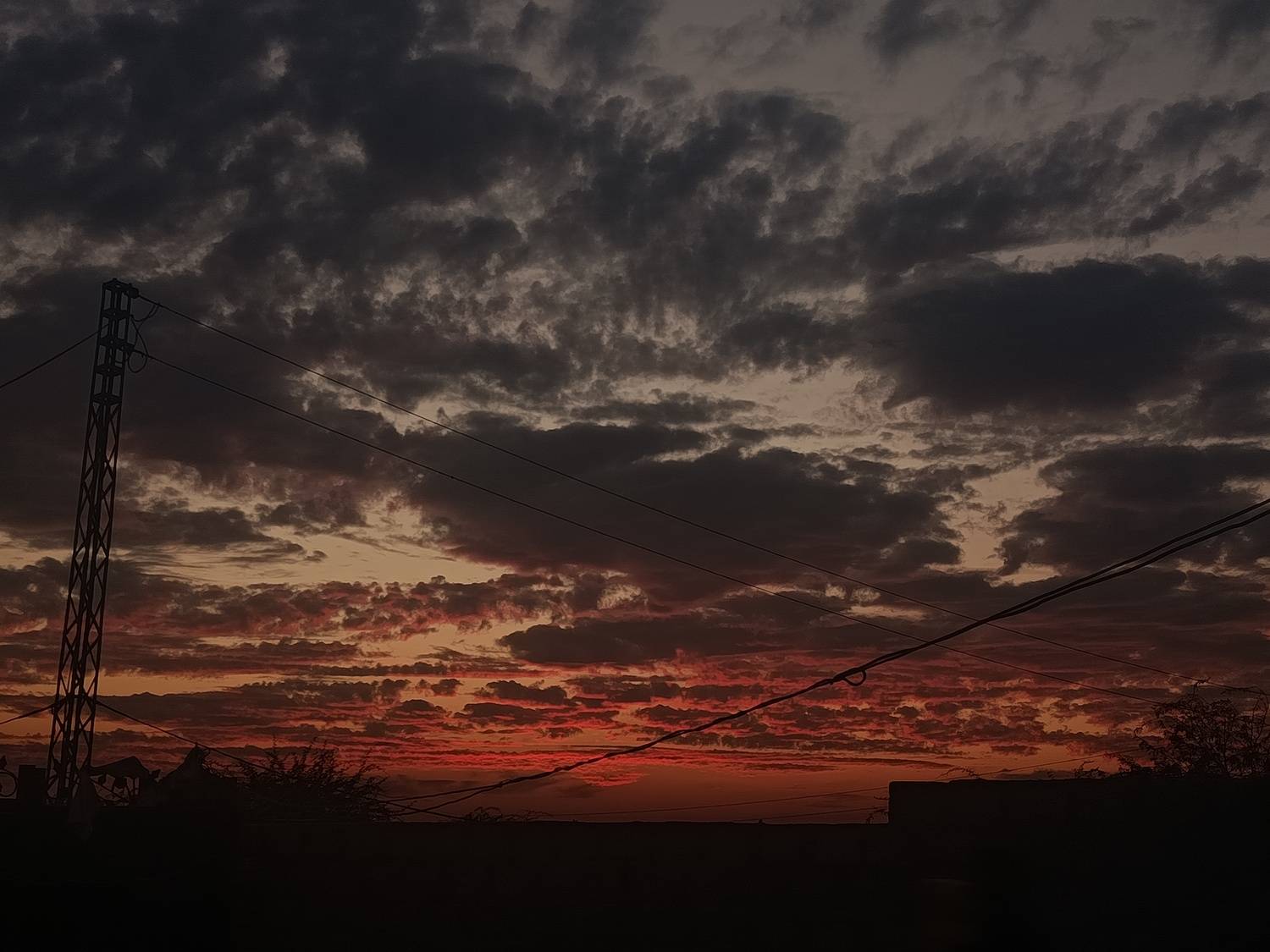 Photo #13736150