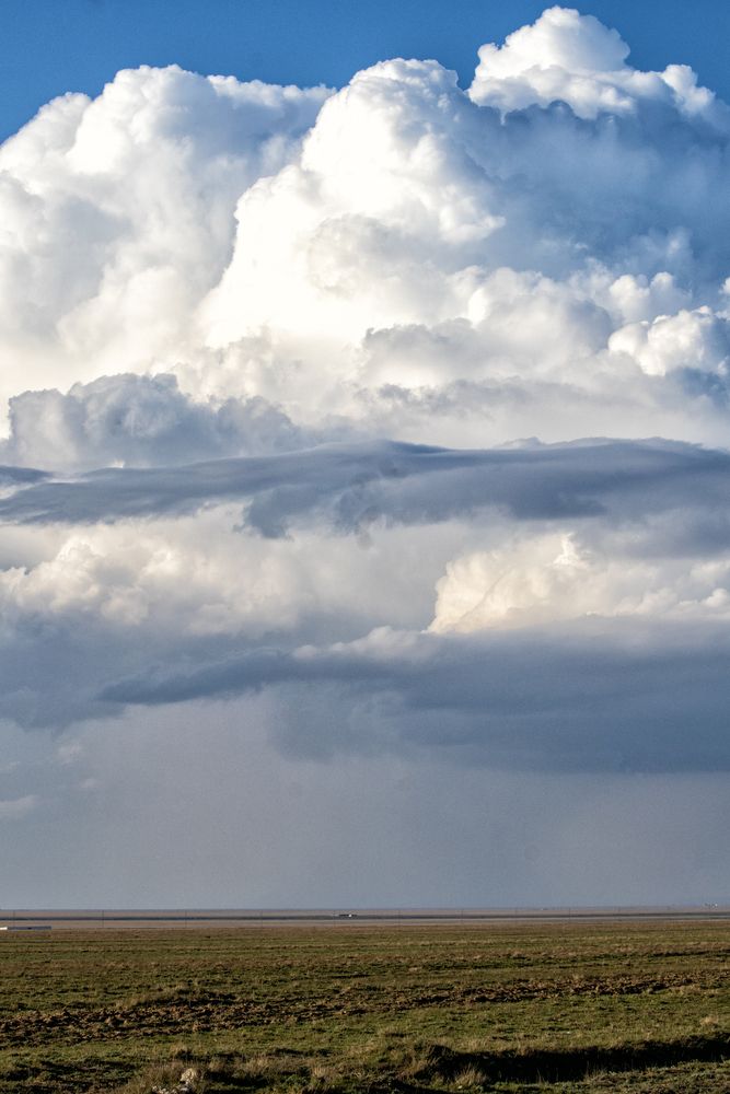 Photograph by ольга стаценко