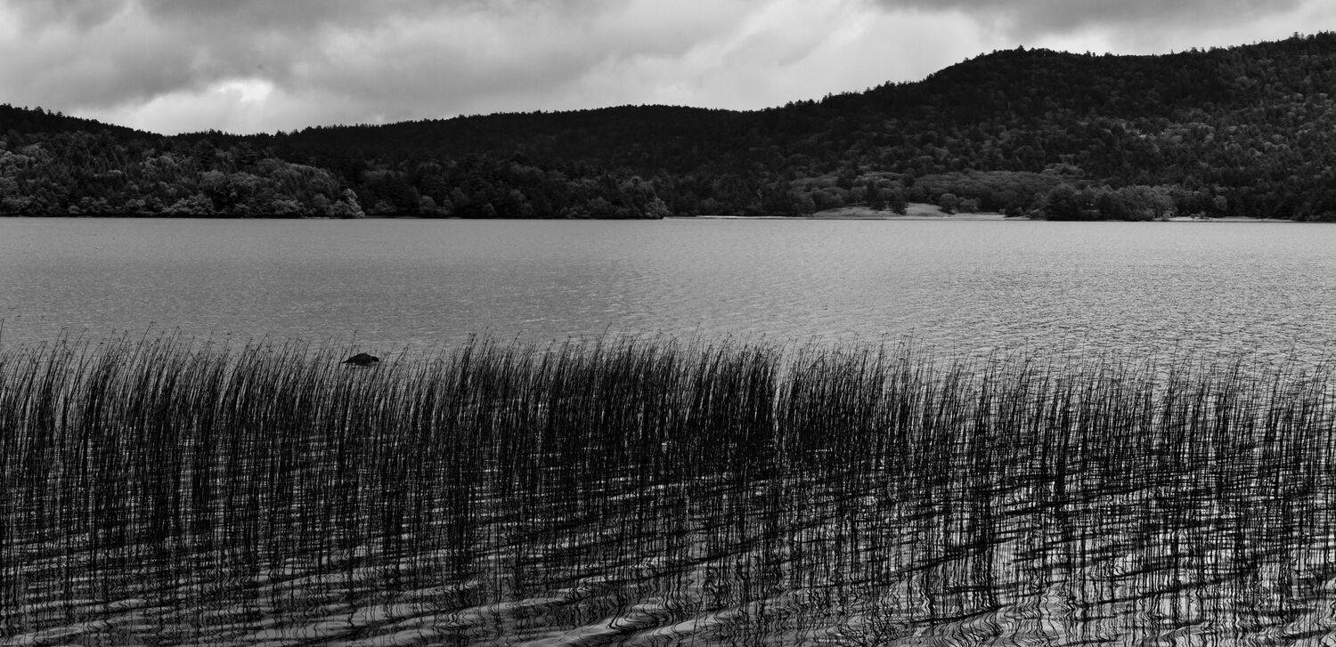 Still Waters
