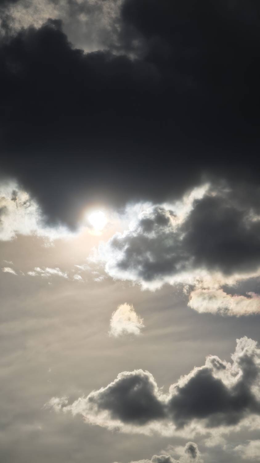 Photo #13736210