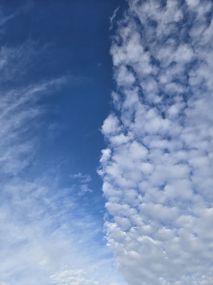 Photograph by Регина Нугманова