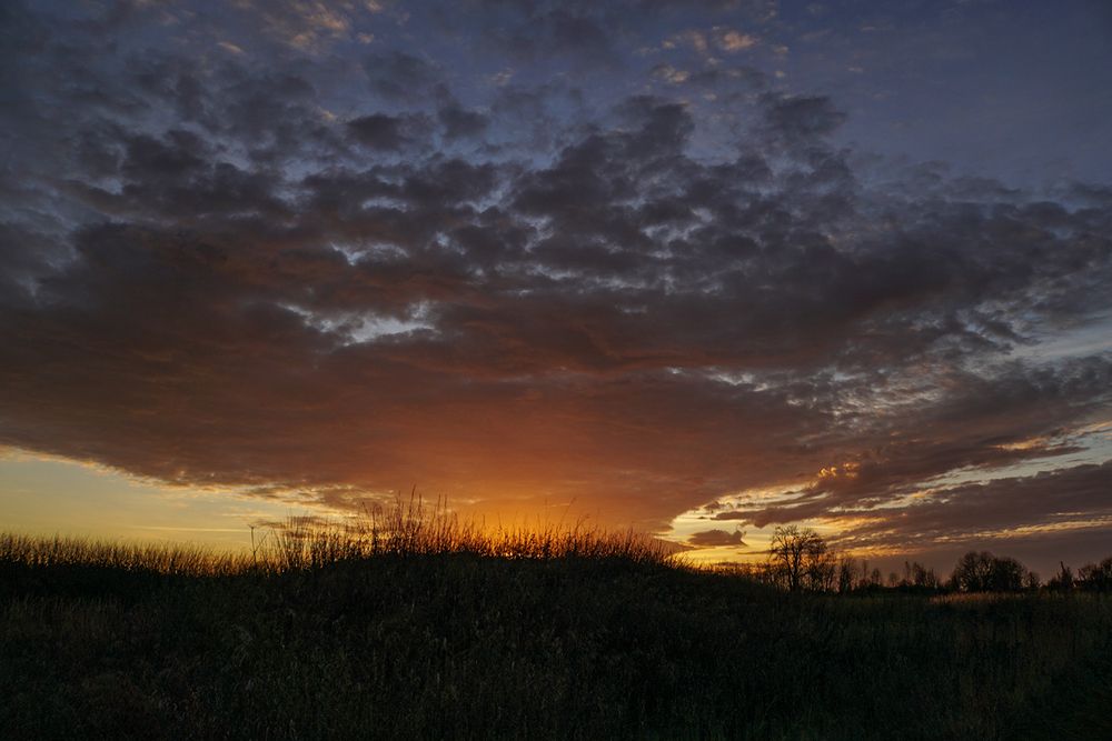 Photograph by Галина Лубянникова