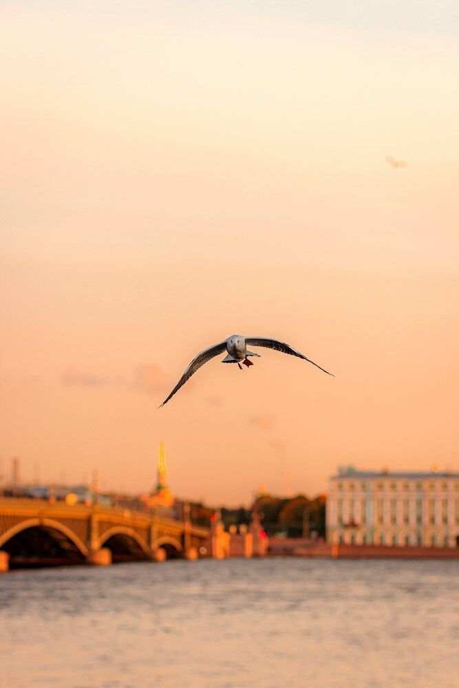 Photograph by Анастасия Белякова