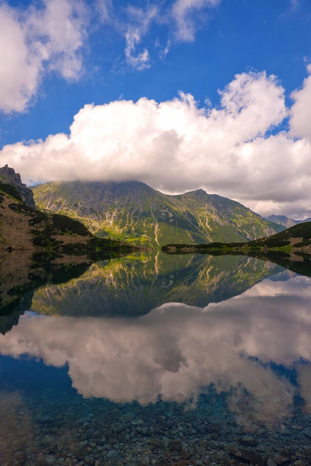Photo #13736264