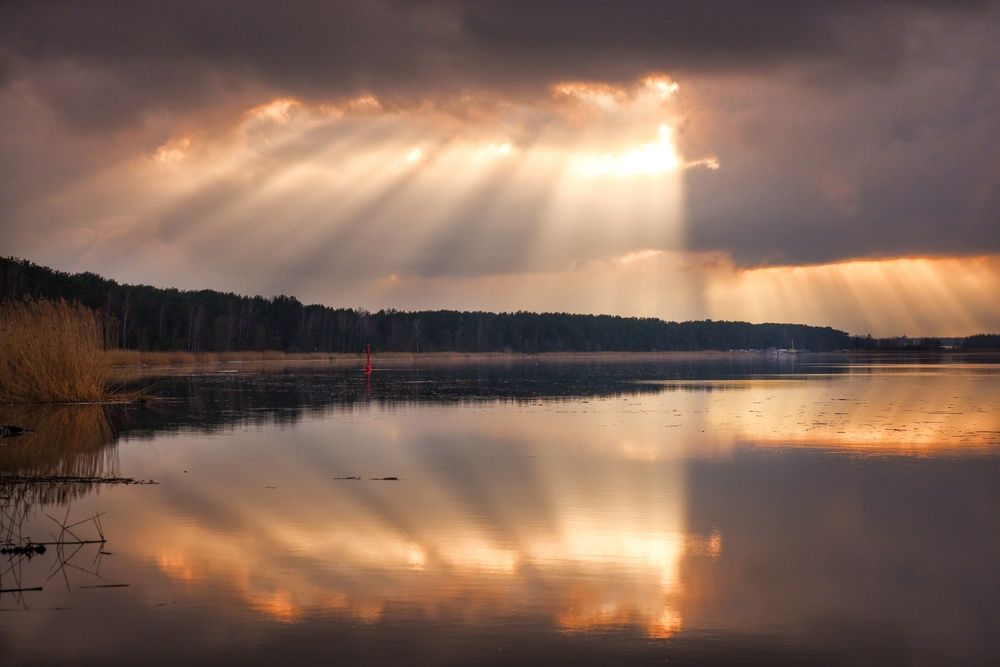 Photograph by Elvijs Kalnins