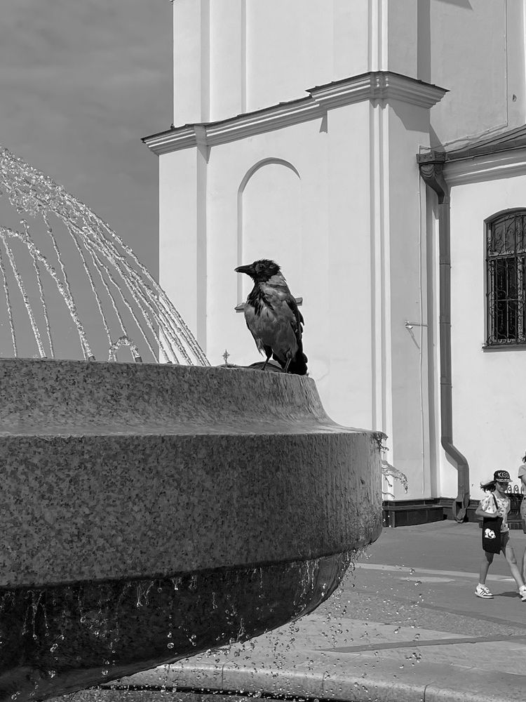 Photograph by Светлана Савина