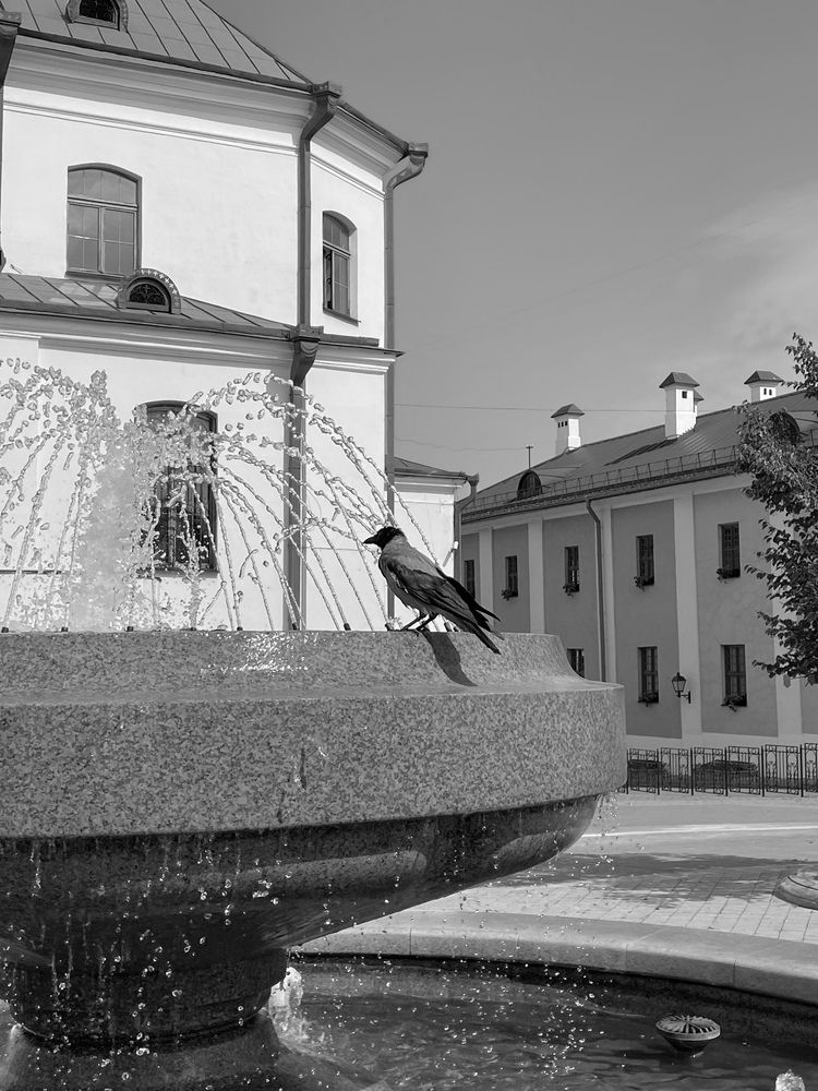 Photograph by Светлана Савина