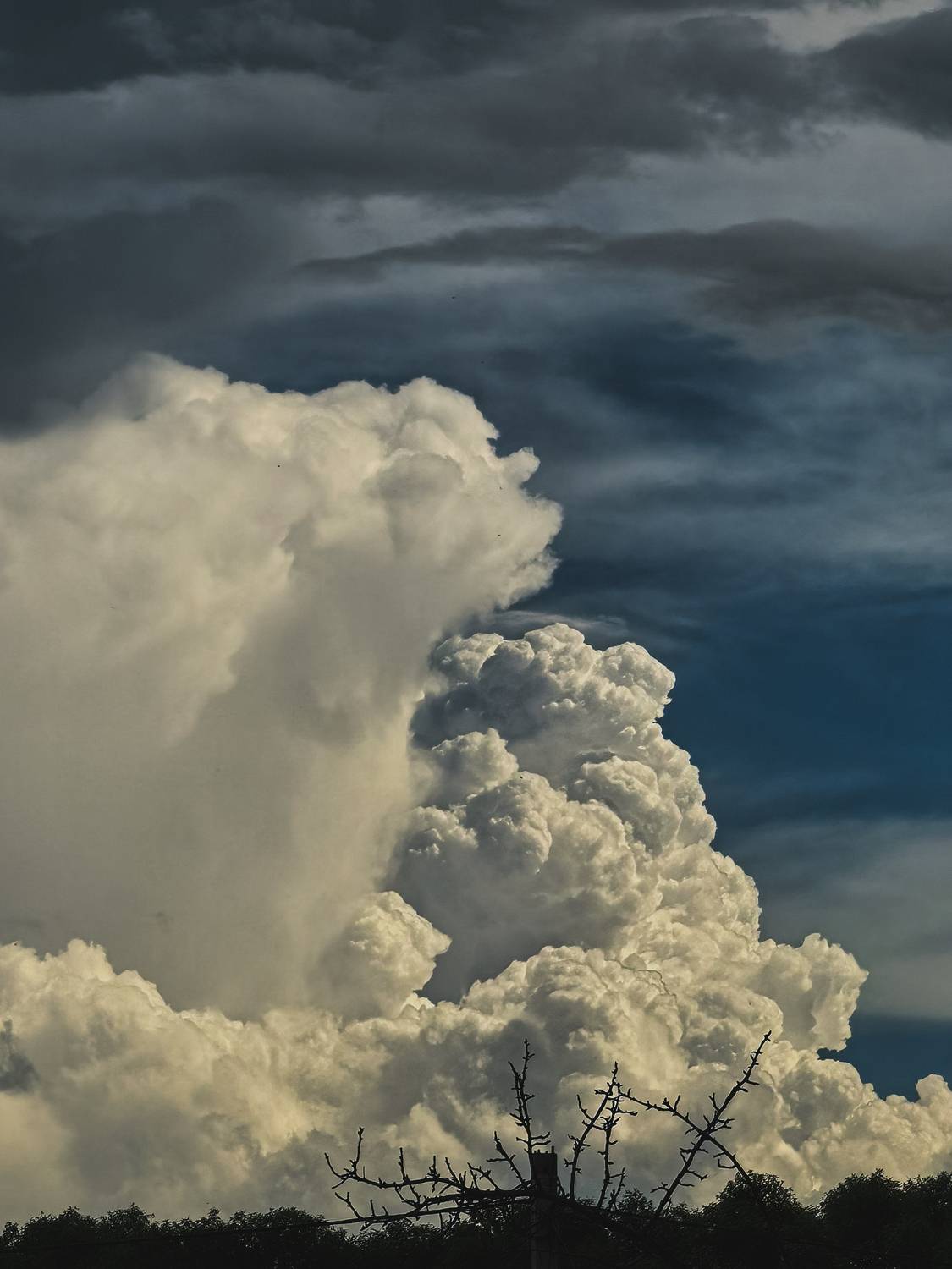 Photo #13736284