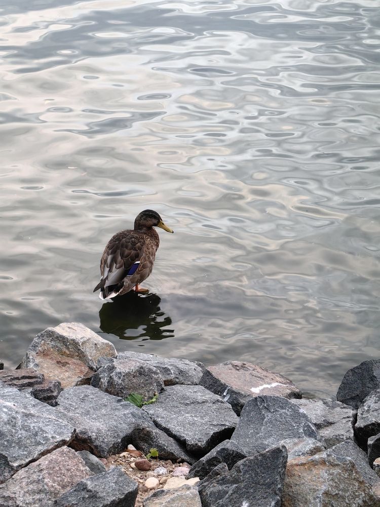 Photograph by Veranika Siratsinina